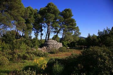 Starigradsko polje, ostrov Hvar