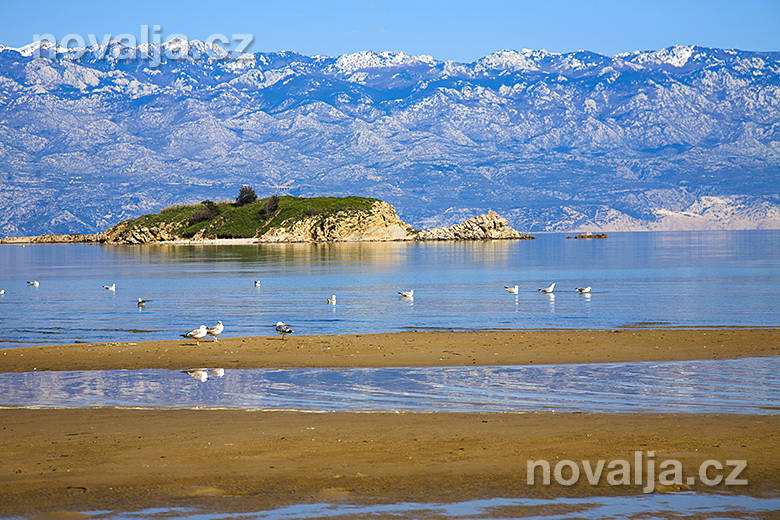 Rajska plaža - Lopar - ostrov Rab