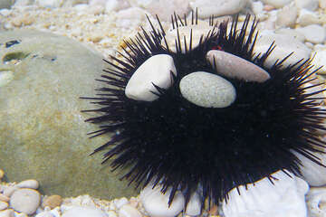 Potápění v Chorvatsku