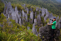 Pinnacles, NP Gunung Mulu, Sarawak, Borneo