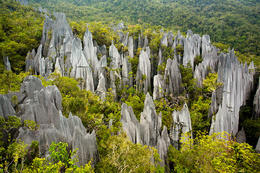 Pinnacles, NP Gunung Mulu, Sarawak, Borneo