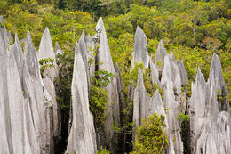 Pinnacles, NP Gunung Mulu, Sarawak, Borneo