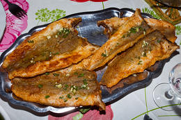 Pohani oslić - smažený štikozubec