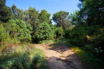 Apartmány Stolac - stezky na poloostrově Lopar, ostrov Rab, Chorvatsko