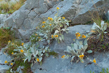 Pěší turistika v Biokovu