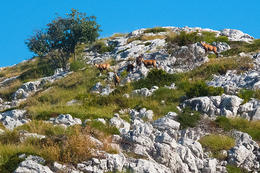 Pěší turistika v Biokovu