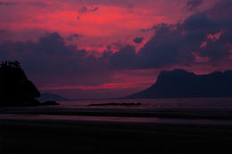 NP Bako, Sarawak, Borneo
