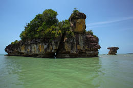 NP Bako, Sarawak, Borneo