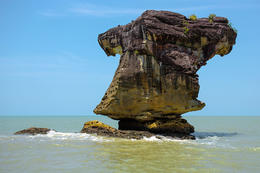 NP Bako, Sarawak, Borneo