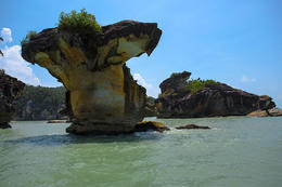 NP Bako, Sarawak, Borneo