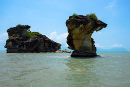 NP Bako, Sarawak, Borneo