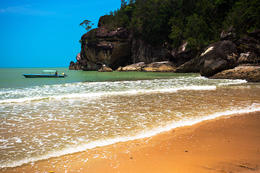 NP Bako, Sarawak, Borneo