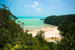 NP Bako, Sarawak, Borneo