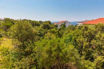 A2 - apartmány Maša-I, Mandre, ostrov Pag, Chorvatsko