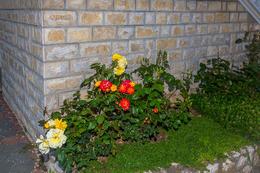 Apartmány Čigrada - okolí domu, Murter, ostrov Murter, Chorvatsko