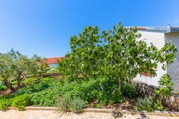 A1 - apartmány Čigrada, Murter, ostrov Murter, Chorvatsko