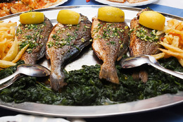 Rybí speciality Chorvatsko