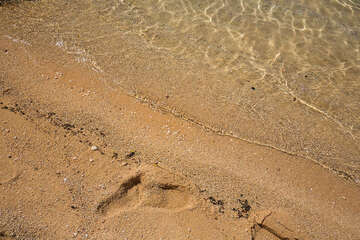 Apartmány Bracera - písečná pláž, Stará Novalja, ostrov Pag, Chorvatsko