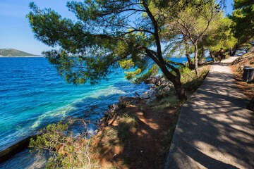 Sali - promenáda stíněná borovicemi, ostrov Dugi Otok, Chorvatsko