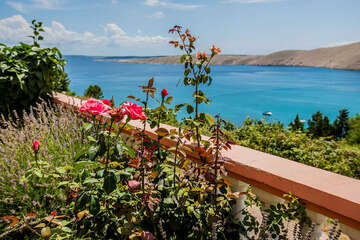 A1 - apartmány Tomislav, Vlašiči, ostrov Pag, Chorvatsko