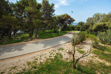 A2 - apartmány Sandra, Mandre, ostrov Pag, Chorvatsko