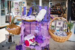 Sučuraj - levandule, ostrov Hvar, Chorvatsko