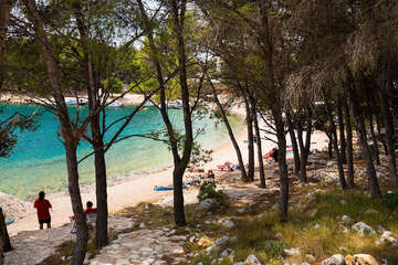 Letovisko Drage - borovicový les u pláže Porat, Zadarská riviéra, Chorvatsko