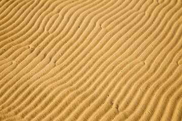 Rajska plaža, Lopar, ostrov Rab, Chorvatsko