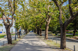 Blato, ostrov Korčula, Chorvatsko