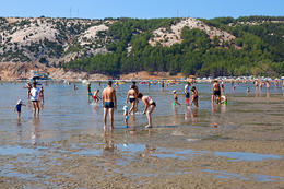 Rajska plaža, Lopar, ostrov Rab, Chorvatsko