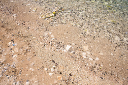 Pula - Banjole - oblázková pláž u hotelu Centinera, poloostrov Istrie, Chorvatsko