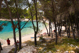 Letovisko Drage - borovicový les u pláže Porat, Zadarská riviéra, Chorvatsko