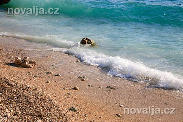 Tučepi, Makarská riviéra, Chorvatsko