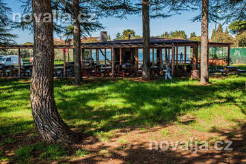 Novigrad - borovicový háj a restaurace u pláže a promenády, Istrie, Chorvatsko