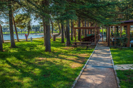 Novigrad - borovicový háj a restaurace u pláže a promenády, Istrie, Chorvatsko