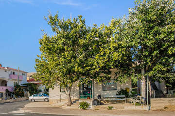 Dinjiška - obchod s potravinami, ostrov Pag, Chorvatsko