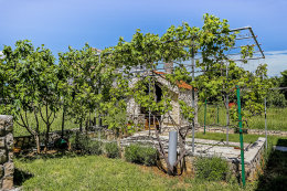 Apartmány Ankora - gril, Vlašiči, ostrov Pag, Chorvatsko