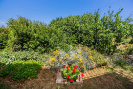 S2 - apartmány Jozo, Polje - Veli Rat, Dugi otok, Chorvatsko