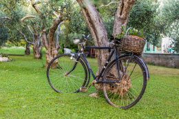 Apartmány Vita - zahrada u domu, Vodice - Blata, Chorvatsko