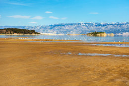 Apartmány Mimoza - písečná pláž Rajska plaža, Lopar, ostrov Rab, Chorvatsko