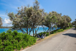 Národní park Brijuni, Istrie, Chorvatsko