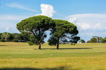 Národní park Brijuni, Istrie, Chorvatsko