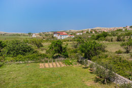 A1 - apartmány Božur, Vlašići, ostrov Pag, Chorvatsko