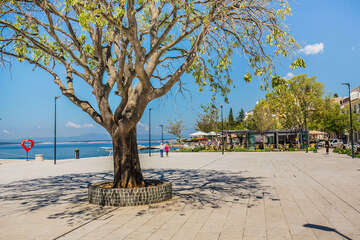 Selce, Crikvenická riviéra, Chorvatsko