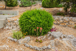 Apartmán Nikša - zahrada, Vela Farska, ostrov Brač, Chorvatsko