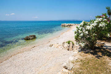 Apartmány Sandra - oblázková pláž 150 m od domu, Mandre, ostrov Pag, Chorvatsko