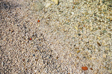 Hotel Brzet*** - oblázková pláž, Omiš, Chorvatsko