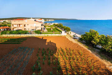 A1 - apartmány Slobodan, Sukošan, Chorvatsko