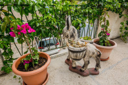 Apartmány Marćelina - okolí domu, Pisak, Omišská riviéra, Chorvatsko