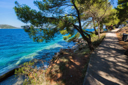 Sali - promenáda stíněná borovicemi, ostrov Dugi Otok, Chorvatsko